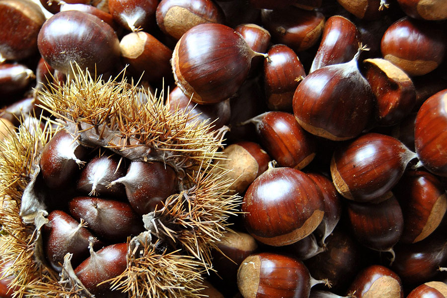 Chestnuts