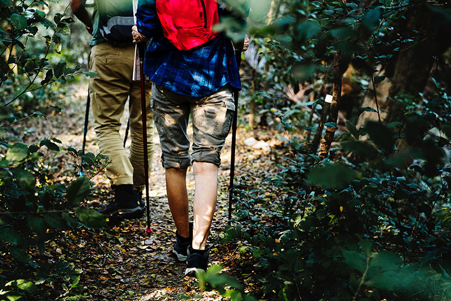 Hiking in West Palatinate