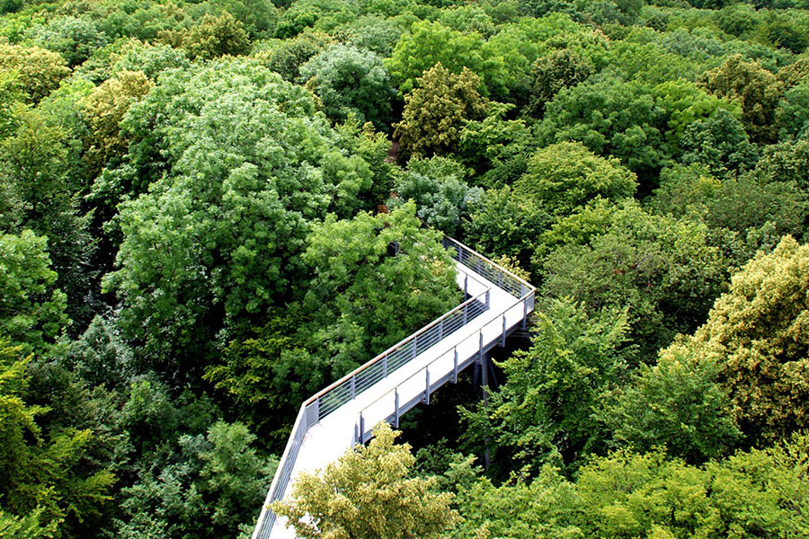 chemin de la cime des arbres Fischbach