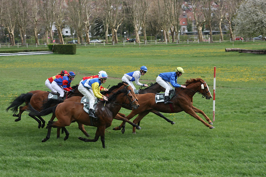 Pferderennen Zweibrücken