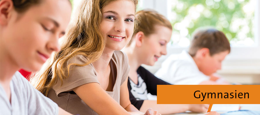 Demobild Gymnasien