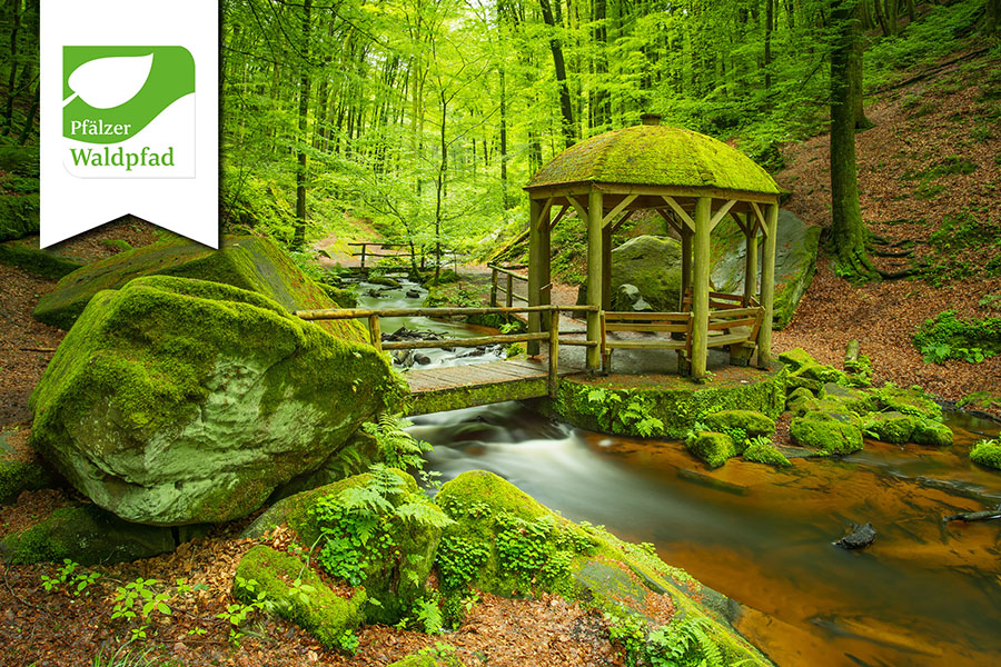 Sentier de la forêt du Palatinat