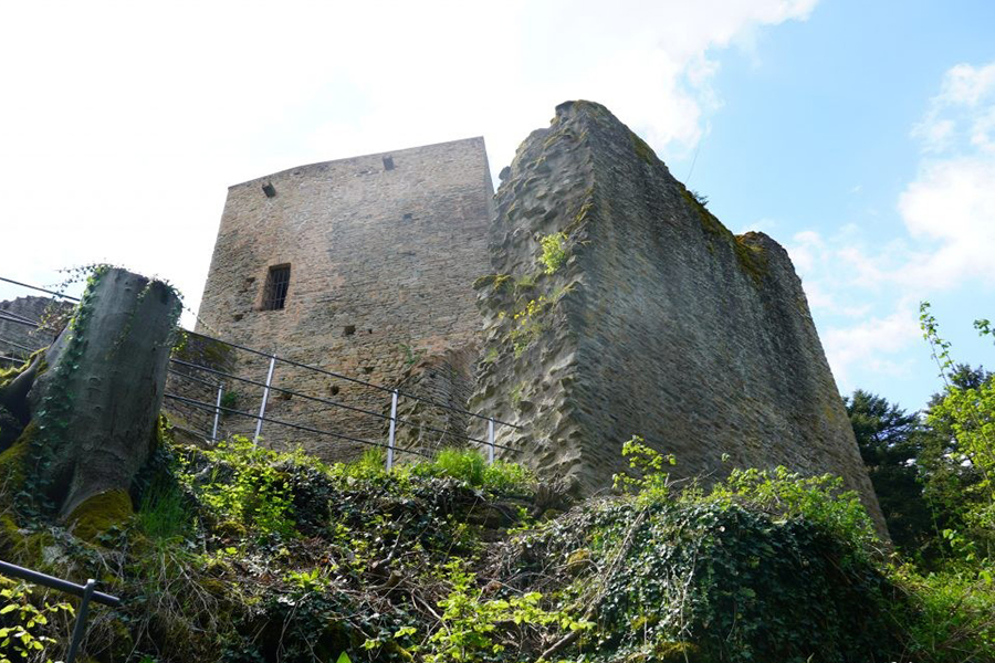 Burgruine Alt-Wolfstein