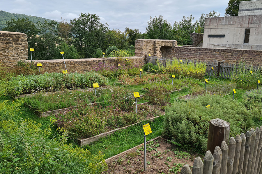 jardin d'herbes aromatiques