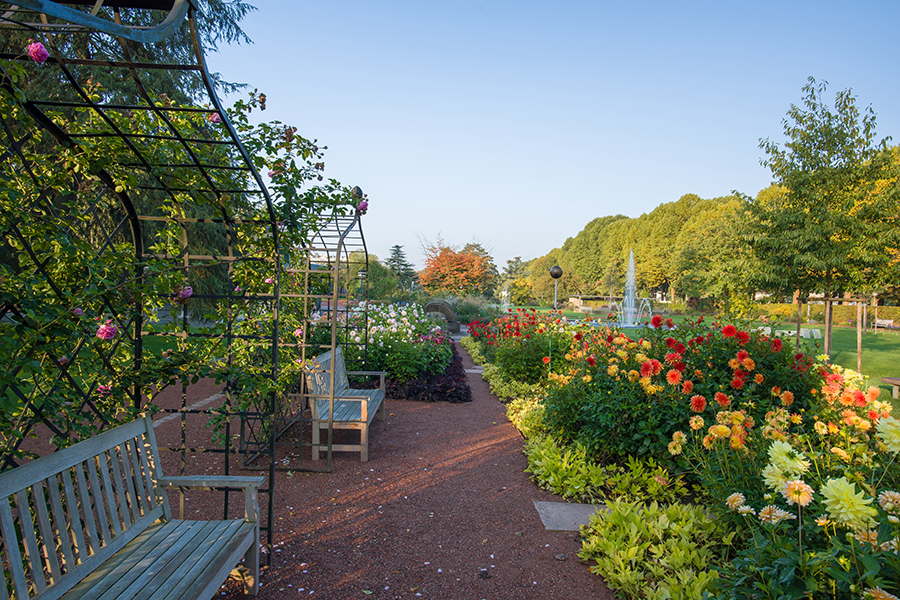 Rosengarten Zweibrücken