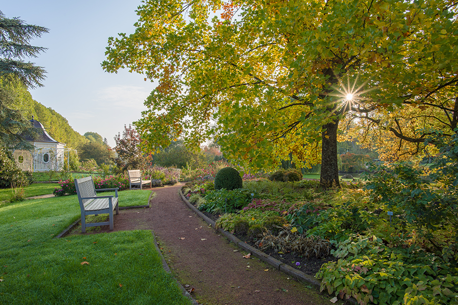 Rosengarten