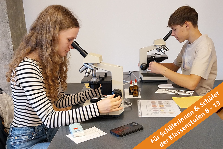 Donnerstag & Freitag, 20. & 21. August 2026